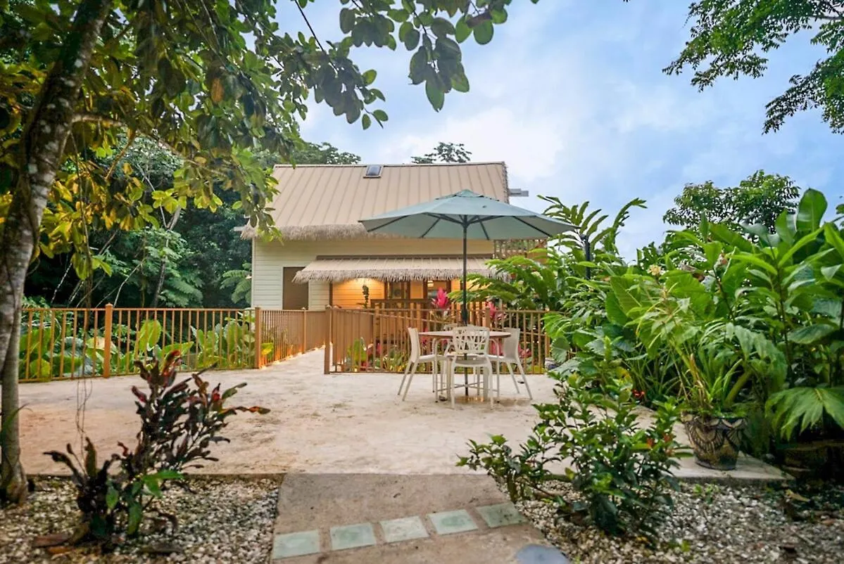 Villa Bali Entire Private Villa 5R 6Br & Pool Puerto Rico